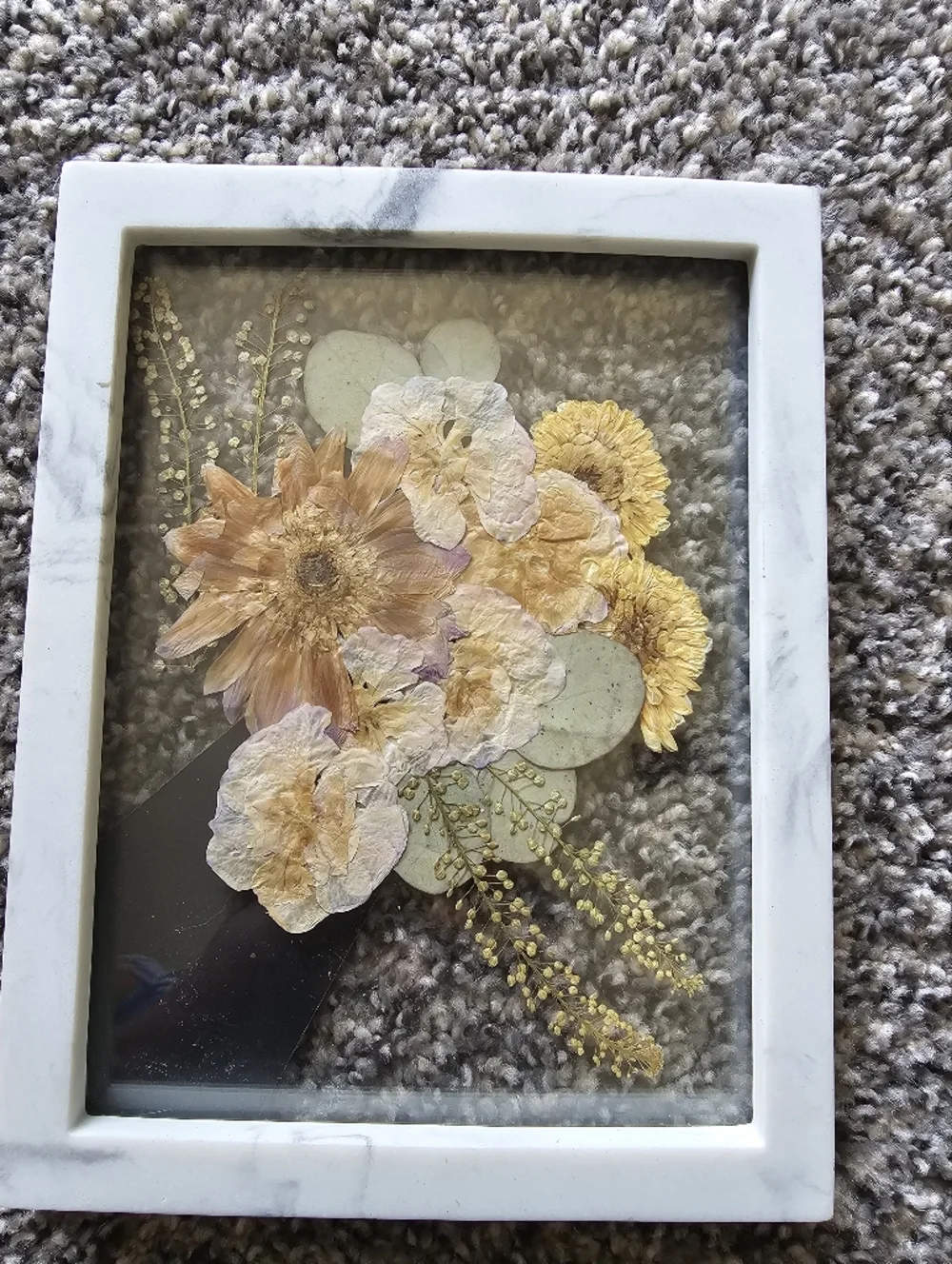 Pressed Flower Wall Art in Cream and Yellow - Unbranded